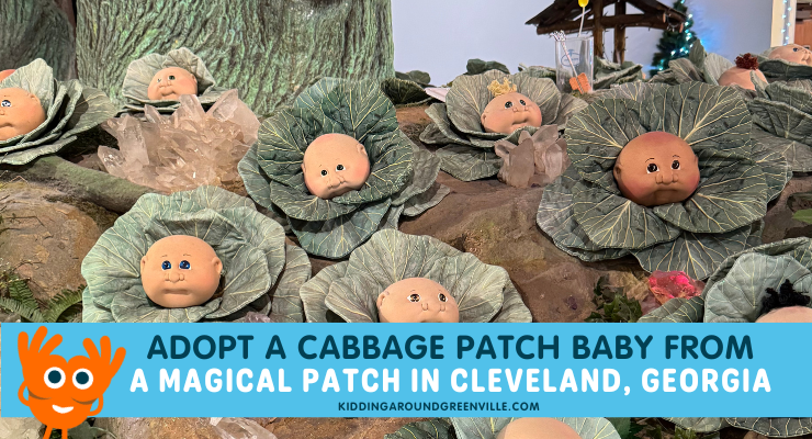 What are the best things about the Cabbage Patch Pass? Explore top sights and activities.