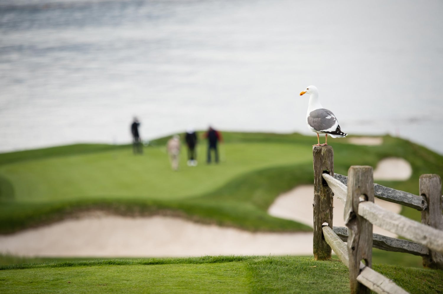 Your best golf vacations to Ireland (Tips for playing famous greens and enjoying Irish charm)