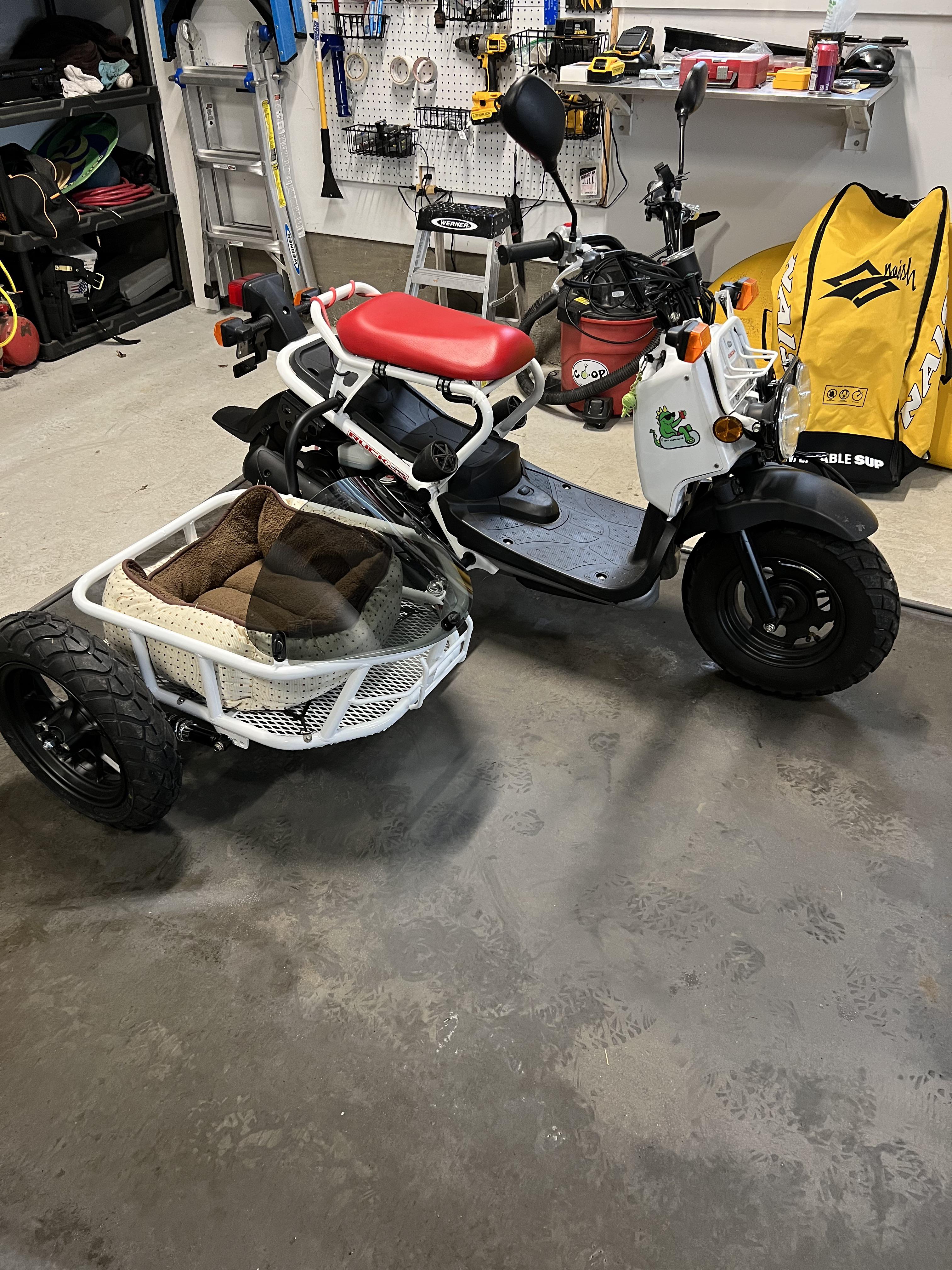 A sidecar for Honda Ruckus can be amazing! See how it transforms your scooter experience.