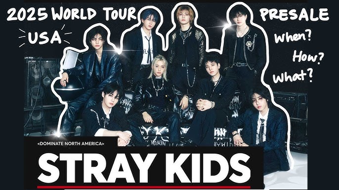 Stray Kids Dominate Presale: Whats the Secret Sauce?