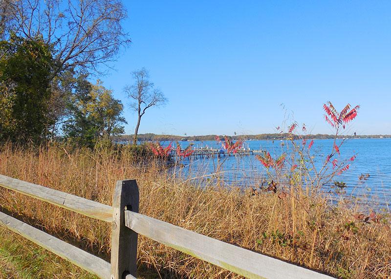 Is Spriggs Farm Park great for kids? (Tips for a fun family day out at this amazing park)