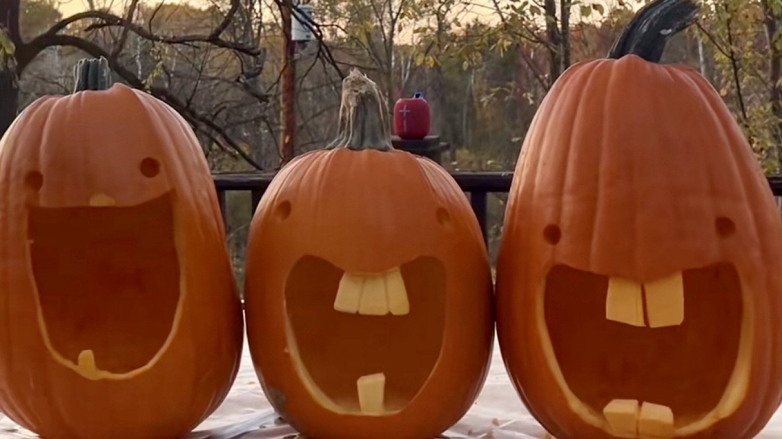 Why is everyone obsessed with that goofy ass pumpkin? (Discover the funniest trends this Halloween season)