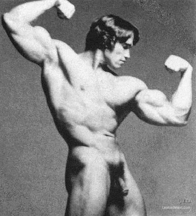 Arnold Schwarzenegger nude: How to search safely online (avoid risks with these simple tips).