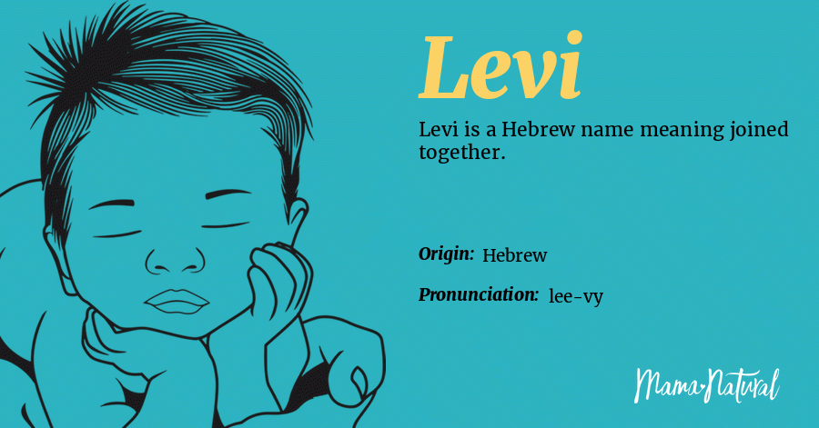 Why is the Will Levis nickname so talked about? Understand its origin and popularity today.