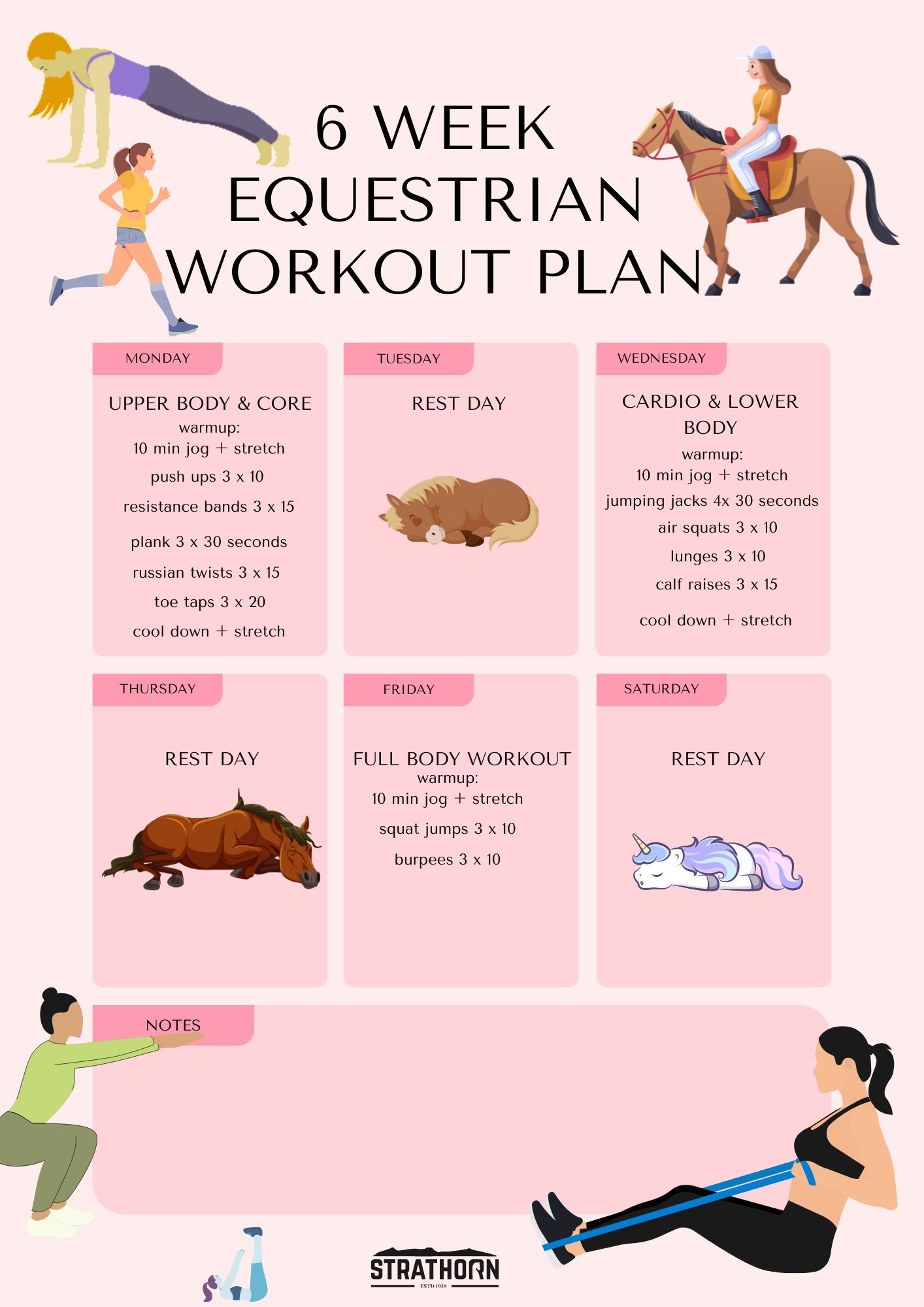 What are the top horse exercise routines? (Keep your horse strong and feeling really great every day)