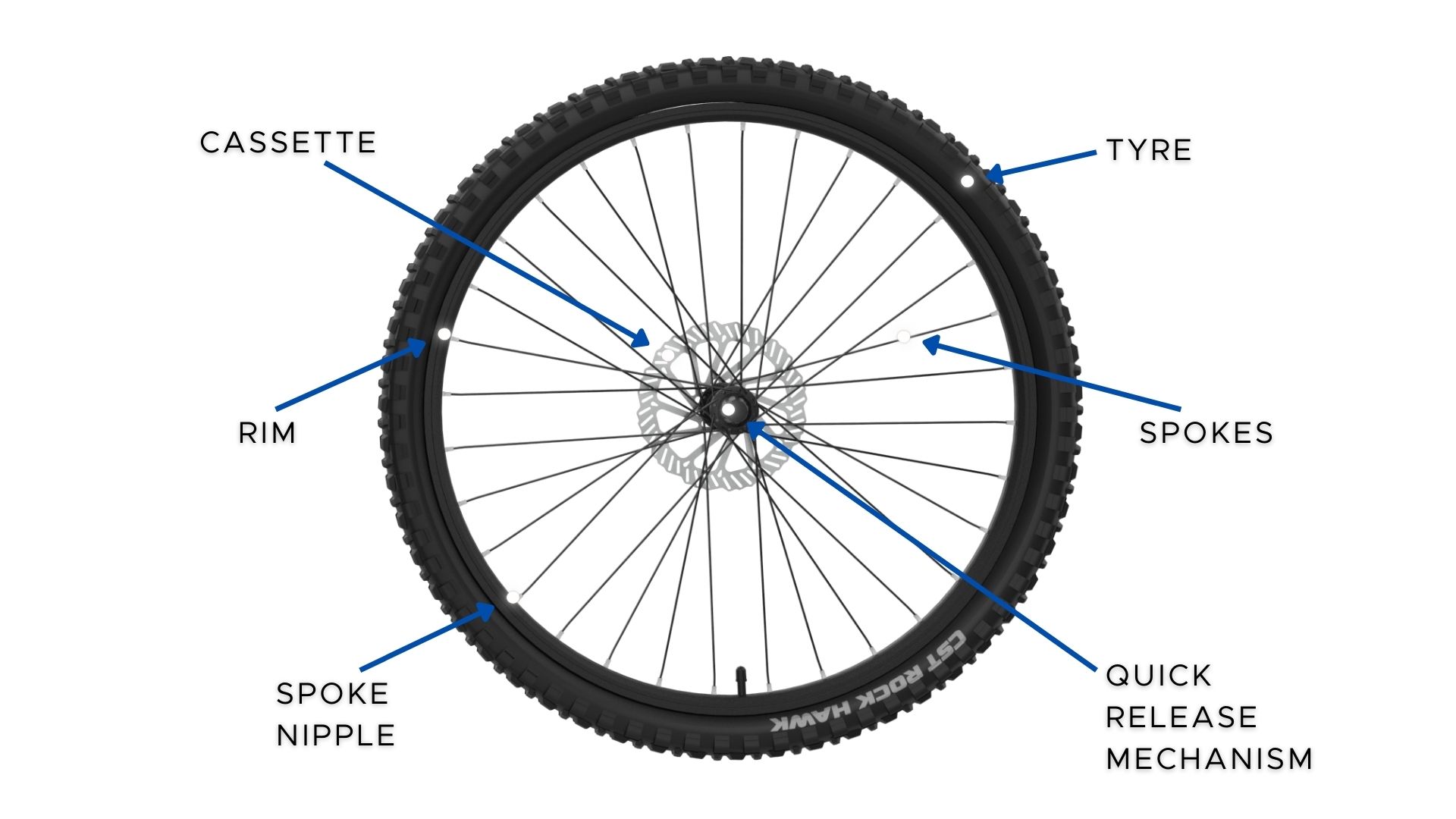 What is a spoke on a bike? Learn why this small part is so very important for cycling.