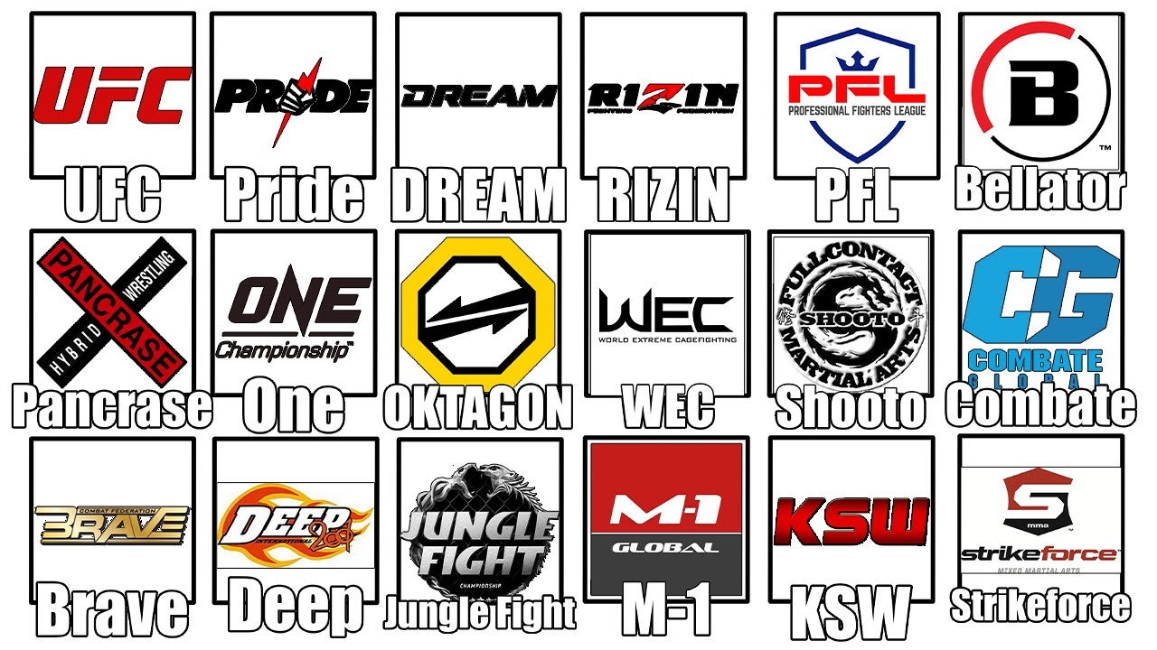 What exactly is AFN MMA? (Get the simple facts about this exciting fight organization)