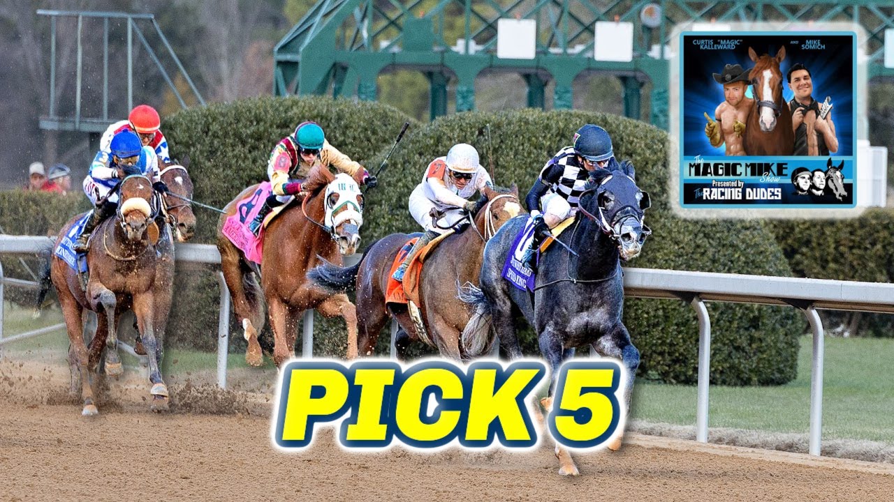 How to Find Free Picks Oaklawn Park Today? Get Top Expert Tips for Your Winning Bets.