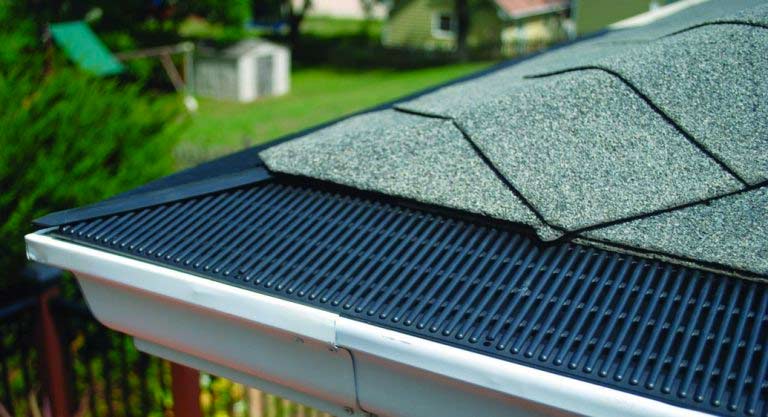 Is triple guard pest control a good investment? (Find out how it saves you money and stress in the long run)