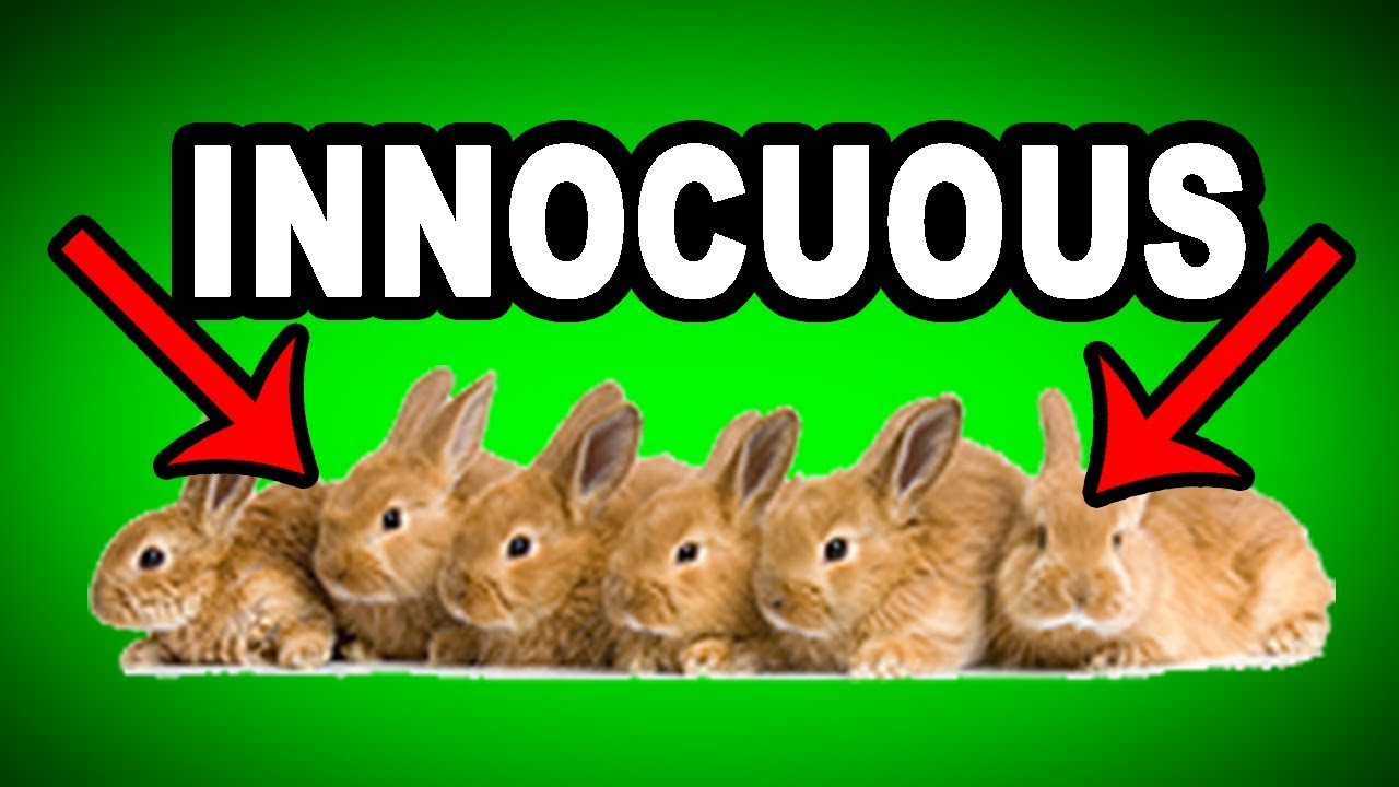 How do you use innocuous in sentence correctly? (See clear examples and learn really fast!)