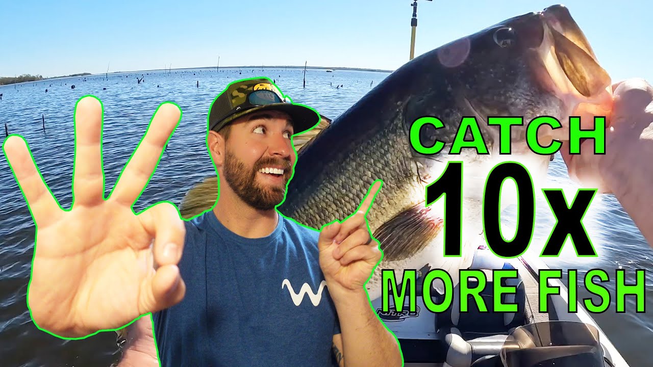 How can jonahs bait & tackle improve your fishing? (With quality products and advice for a bigger catch)