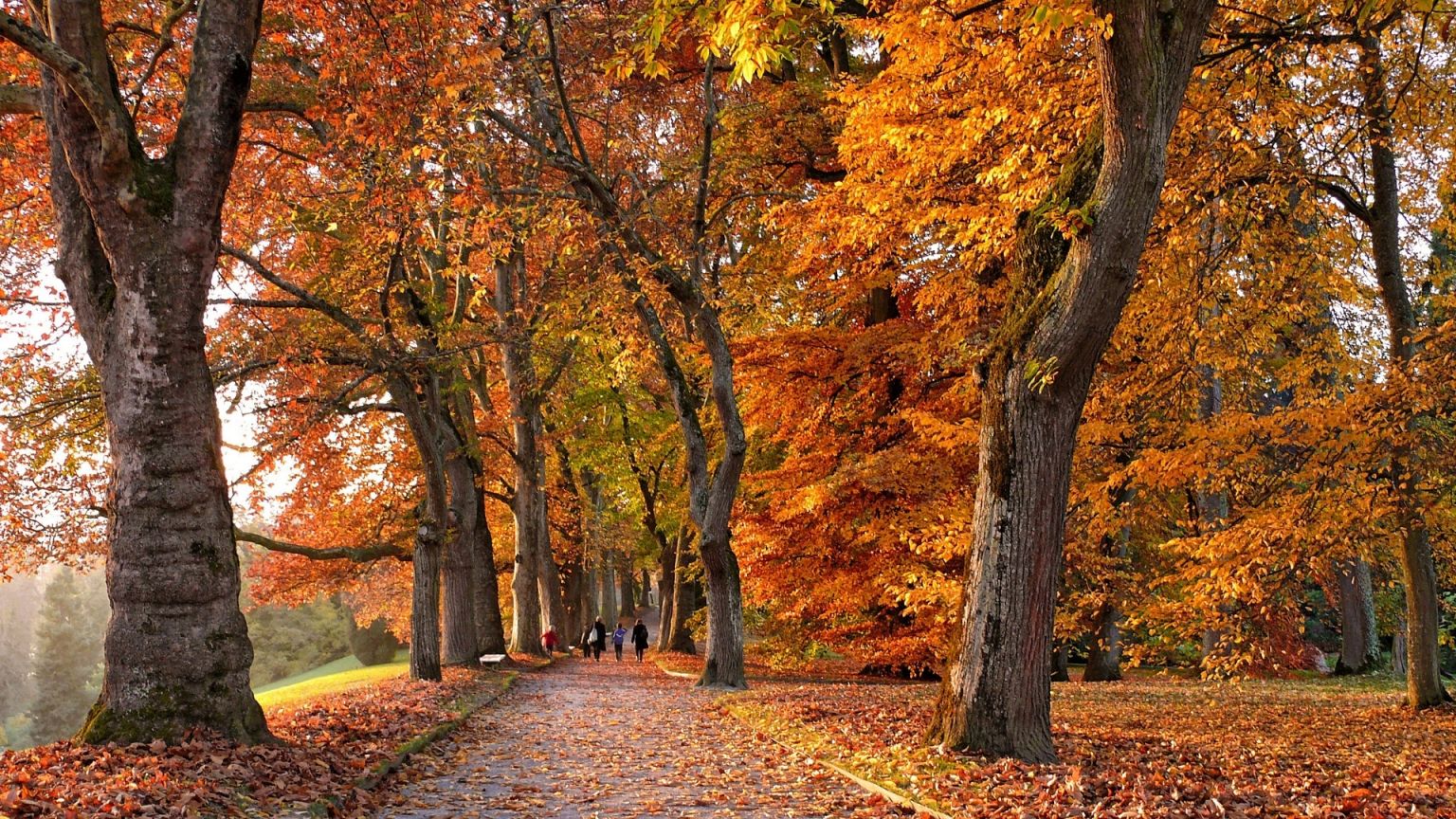 Autumn colors in Lyon: Where to find the best views & spots