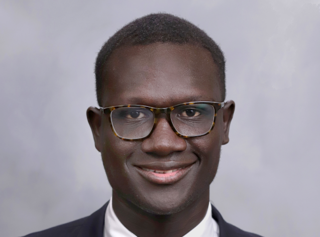 What has Abdoulaye Ndiaye done thats cool? (See his best achievements and important work)