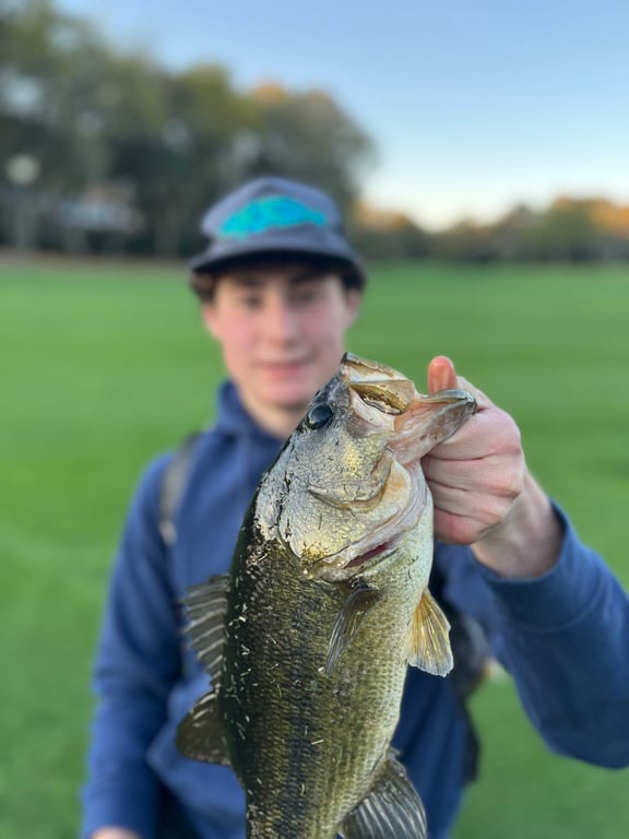 Looking for success with fishing at golf course? These proven expert techniques will surely guide you well!