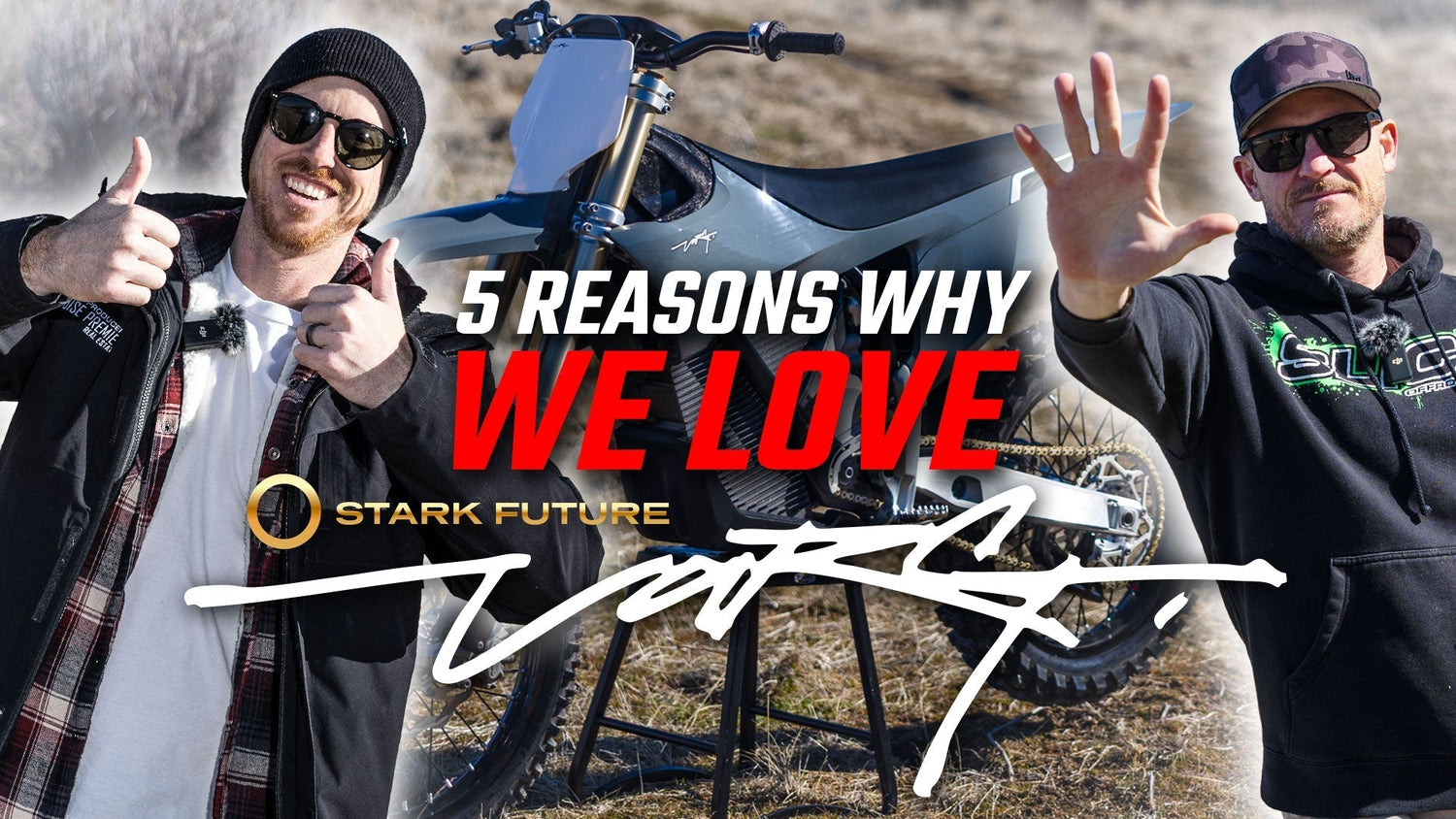 Why Starvark Is Popular? Top Features That Make It Fun!