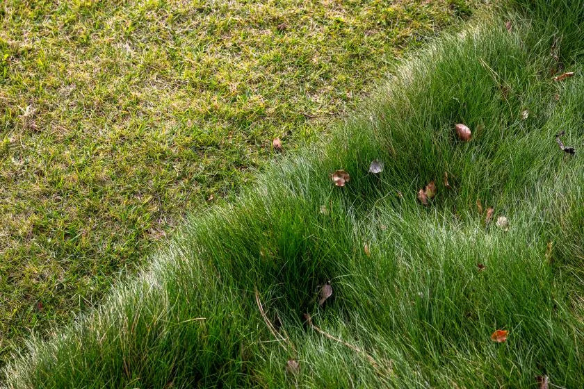 Fox Meadows tee times cost revealed? Save money with smart strategies here.