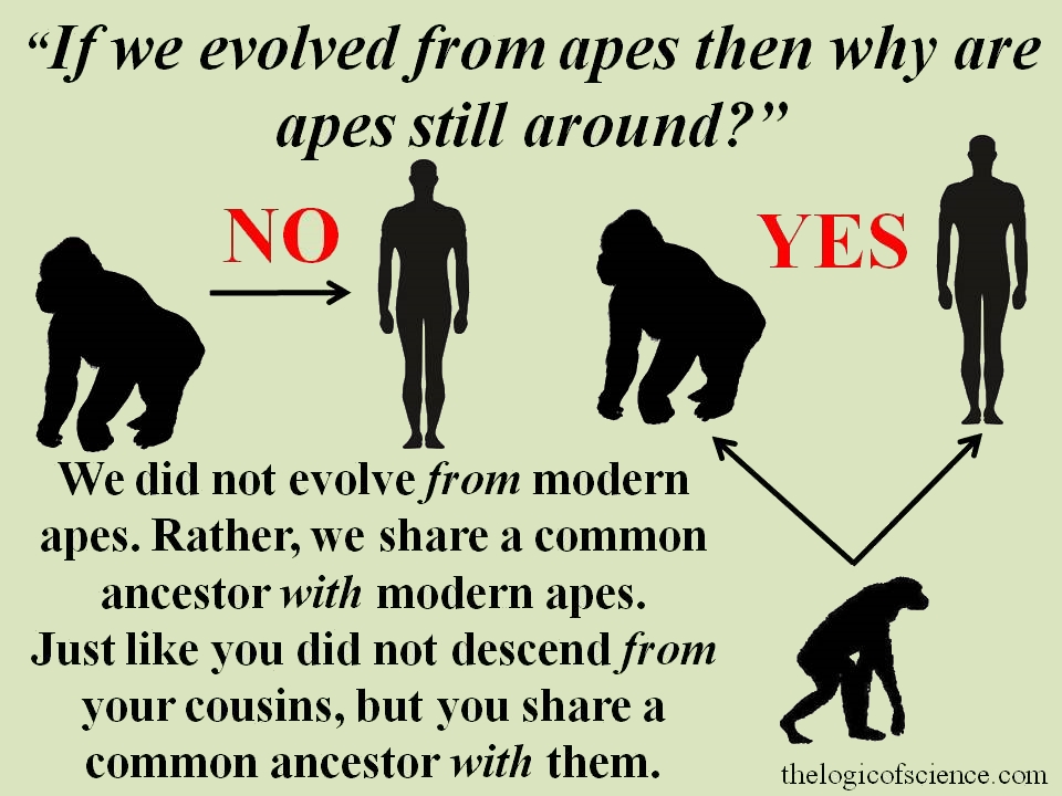 common myths about the broken are the more evolved? learn the facts and move forward.