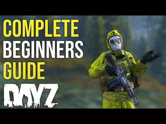 How to play dayz crossplay step by step easy guide for beginners