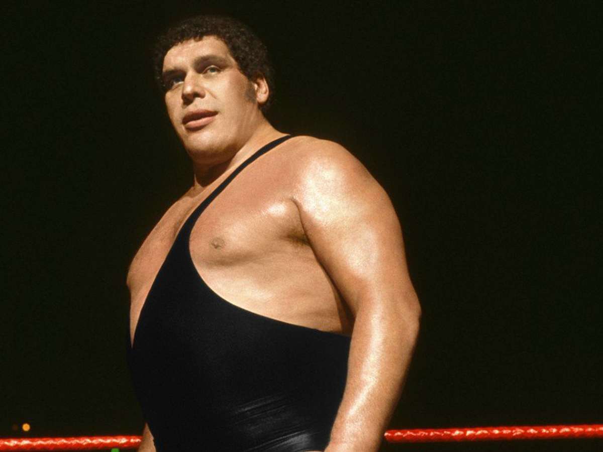 Who are tallest wrestlers ever? Learn amazing facts about these huge stars!