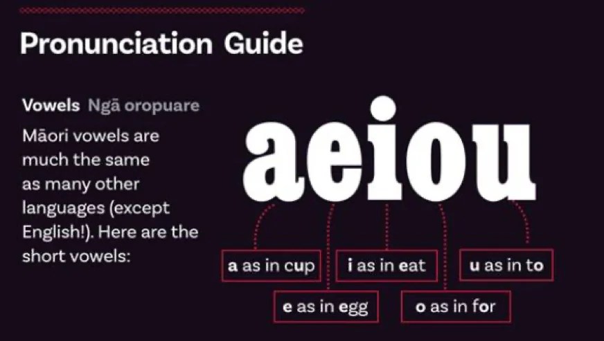 How to Use Pasifika Meaning the Right Way Easy Tips