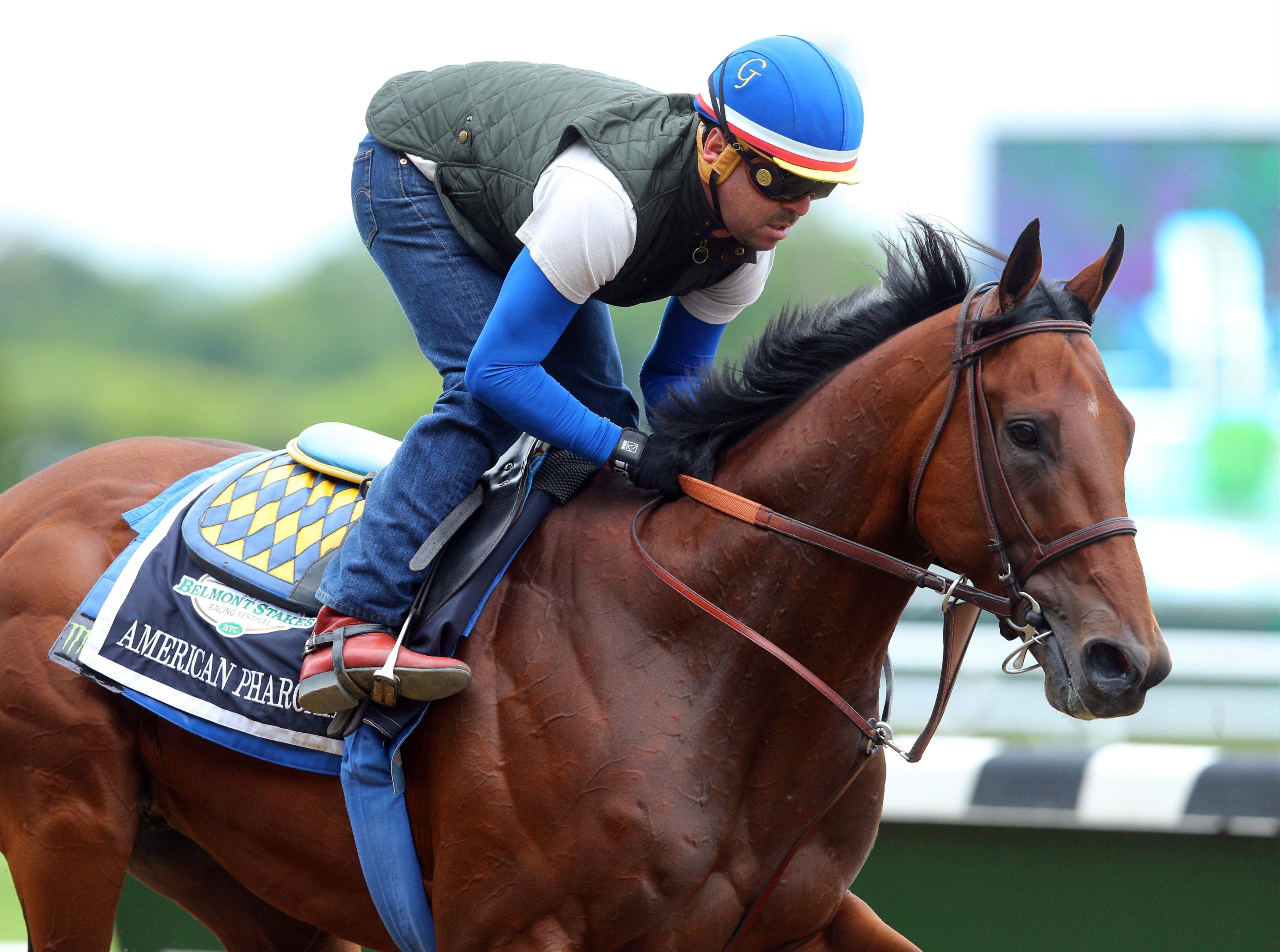 Do Horses Like Racing Truth Revealed with 5 Surprising Signs