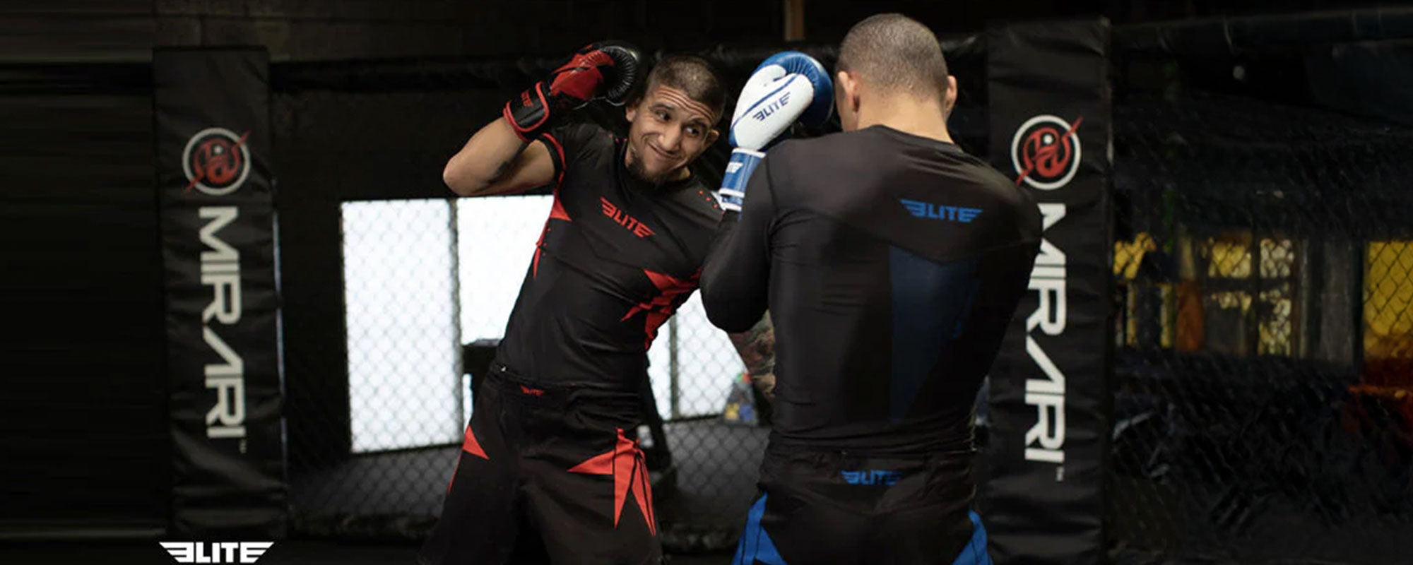 Training Tips from New Mexico Boxers Improve Your Skills Fast Methods