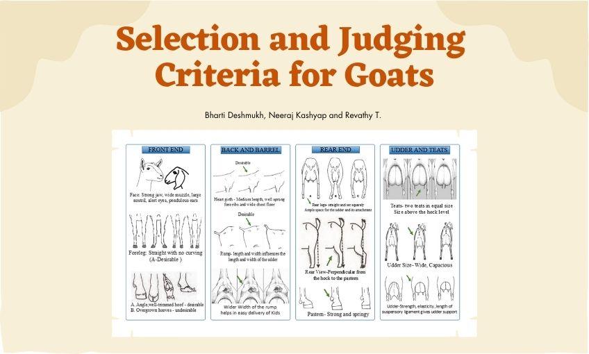 Goat Criteria What Makes a True GOAT Selection Factors Explained Simply