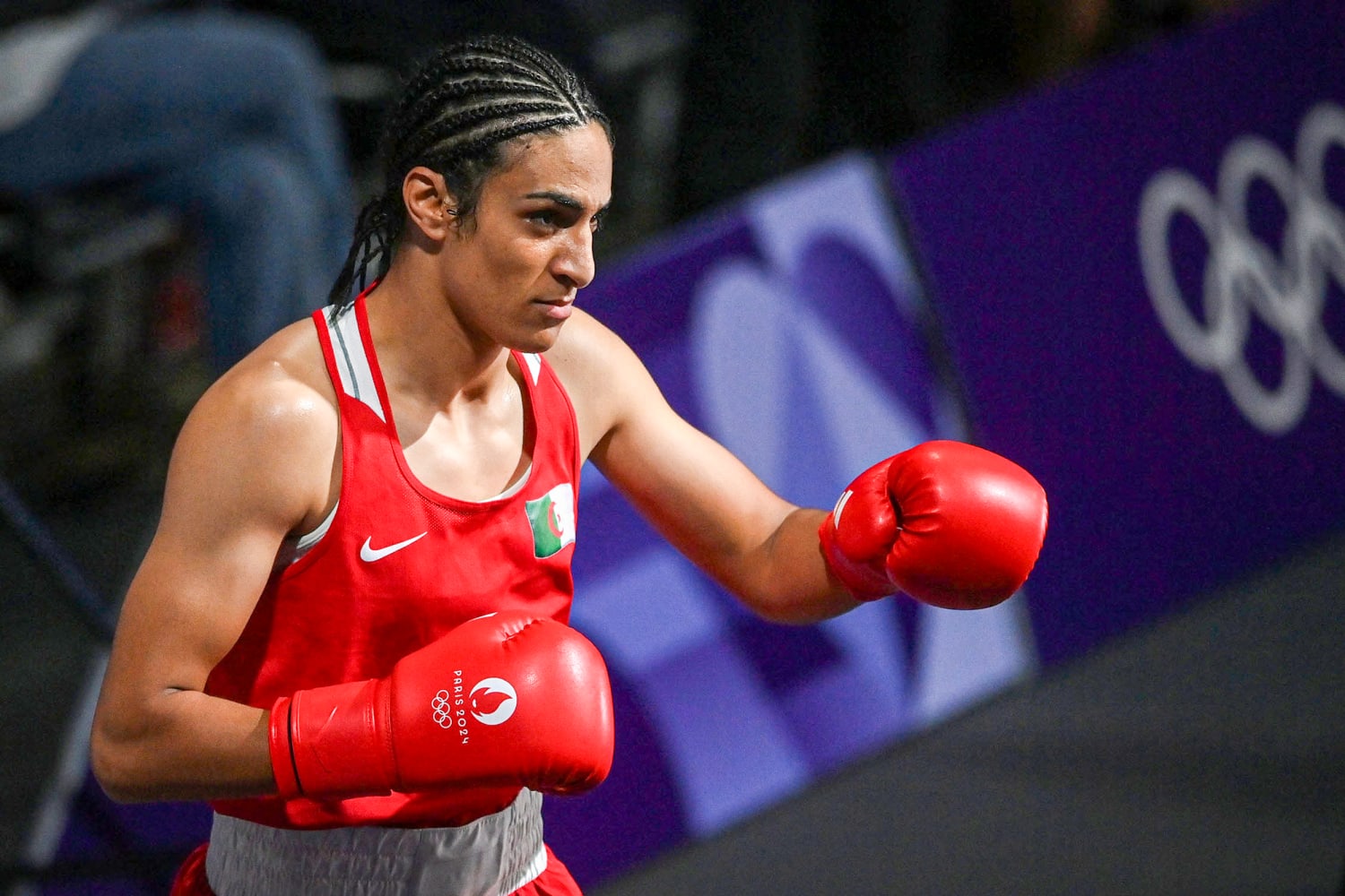 European Vice President Boxing Scandal Explained: Truth Behind the Controversy Revealed