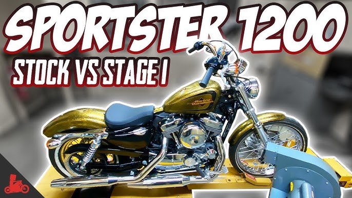 Harley Sportster 1200 Top Speed: Stock vs Modified Results!