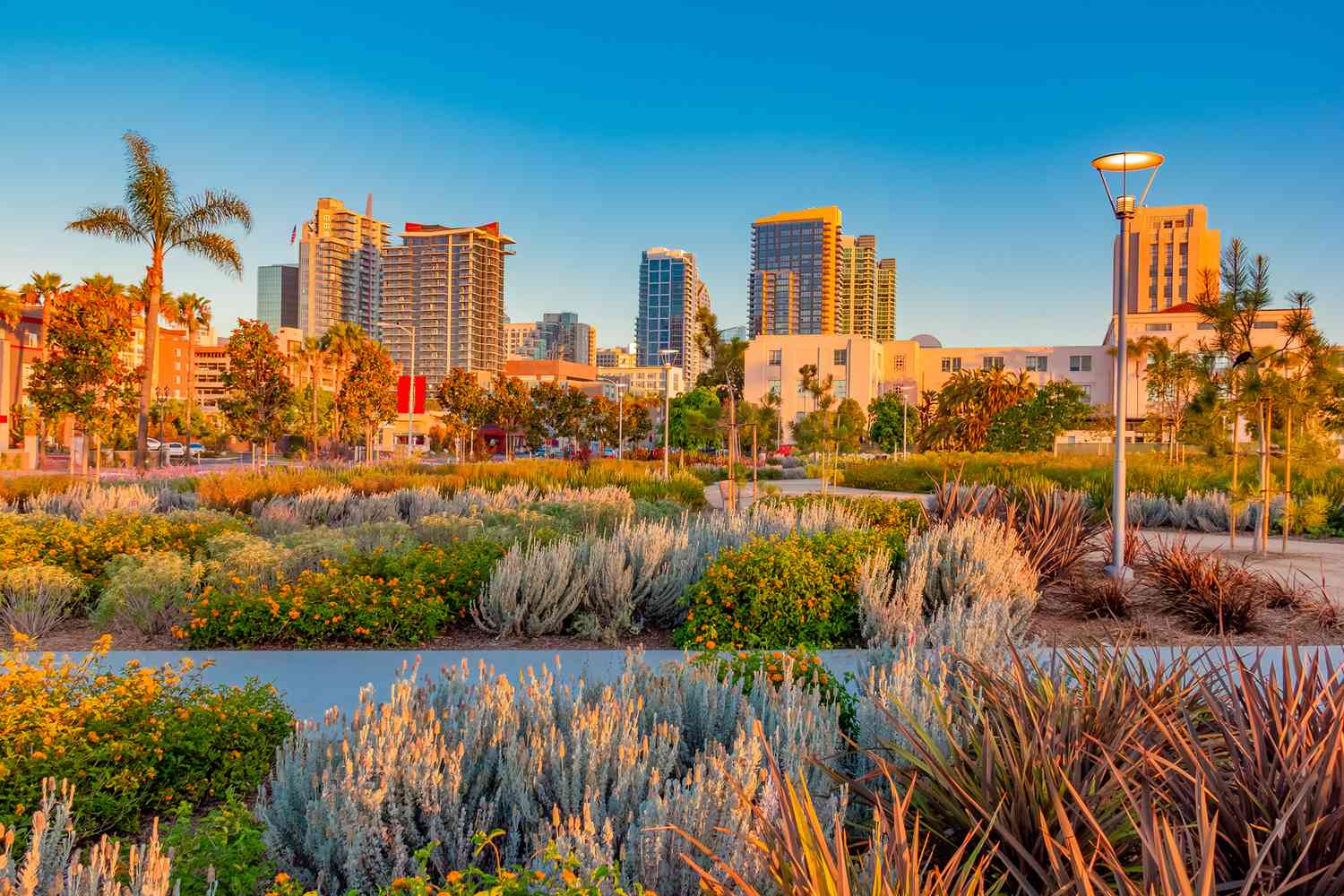 Explore Friars San Diego Why Visit and Awesome Places To See