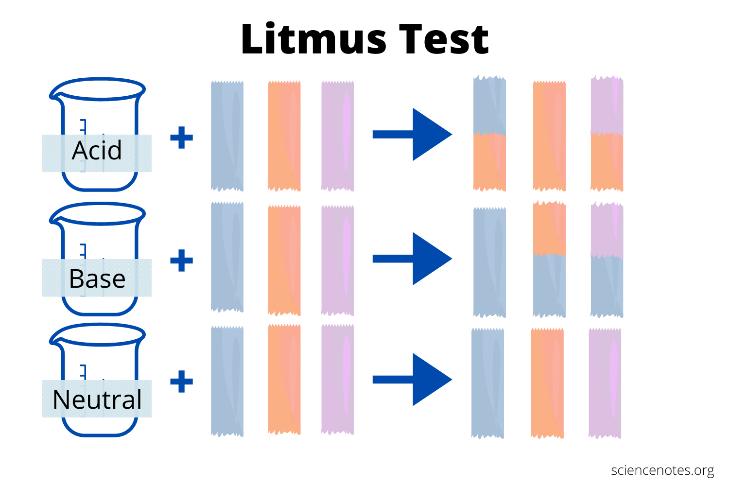 Discover why the litmus test is used to help you make clear and simple calls