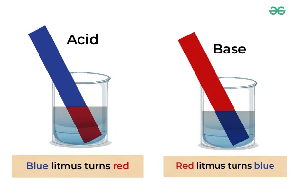 Discover why the litmus test is used to help you make clear and simple calls