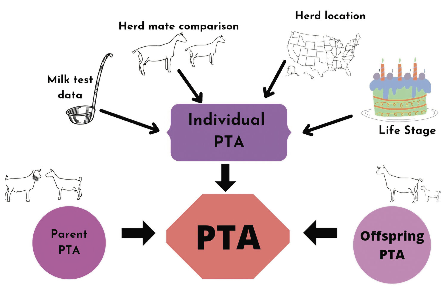 Goat Criteria What Makes a True GOAT Selection Factors Explained Simply