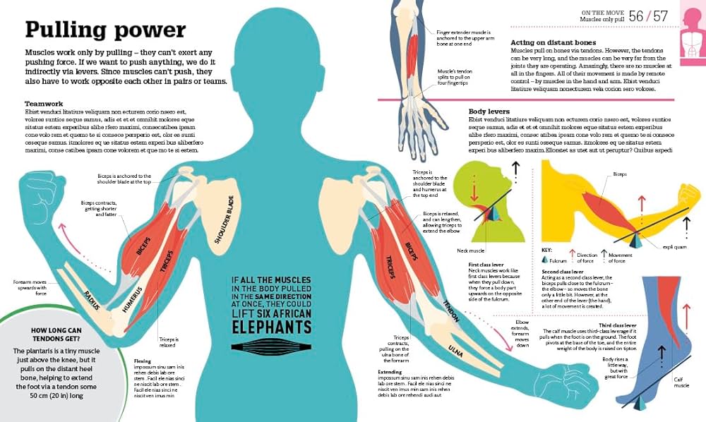 Van Vuuren Body Explained Simply What You Need to Know Now