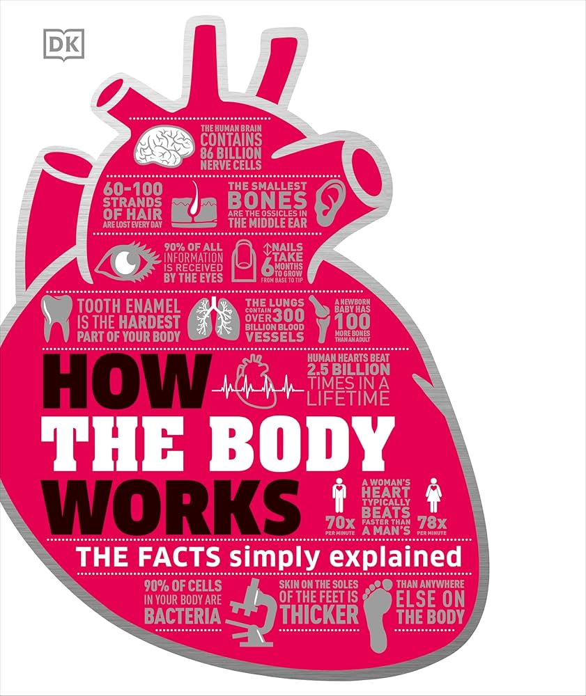 Van Vuuren Body Explained Simply What You Need to Know Now