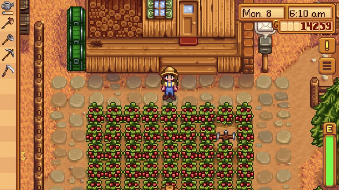 cranberry stardew valley