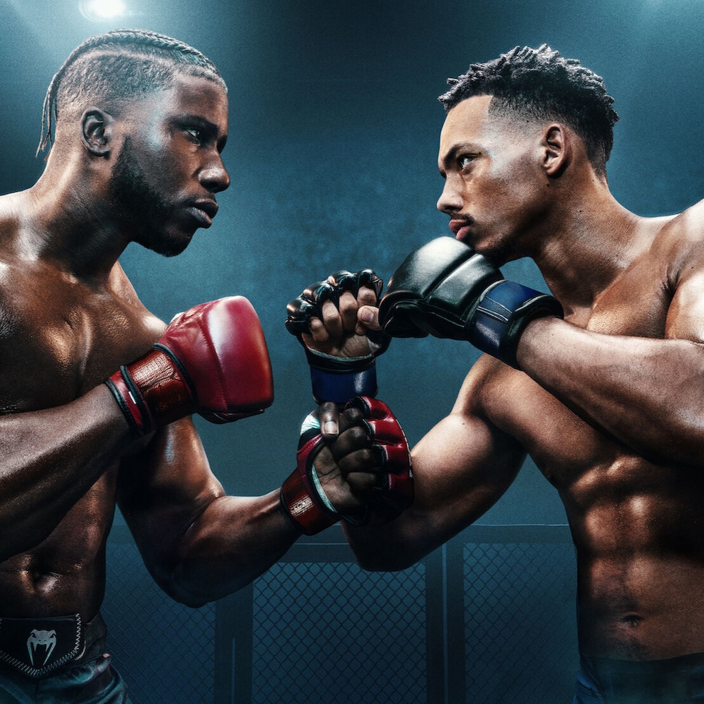 Best Boxing TV Shows? Top Picks Every Fan Must Watch Today.