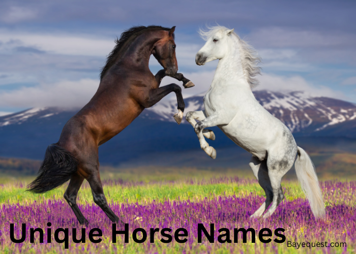 how to choose cool mare names (easy steps for fun naming)