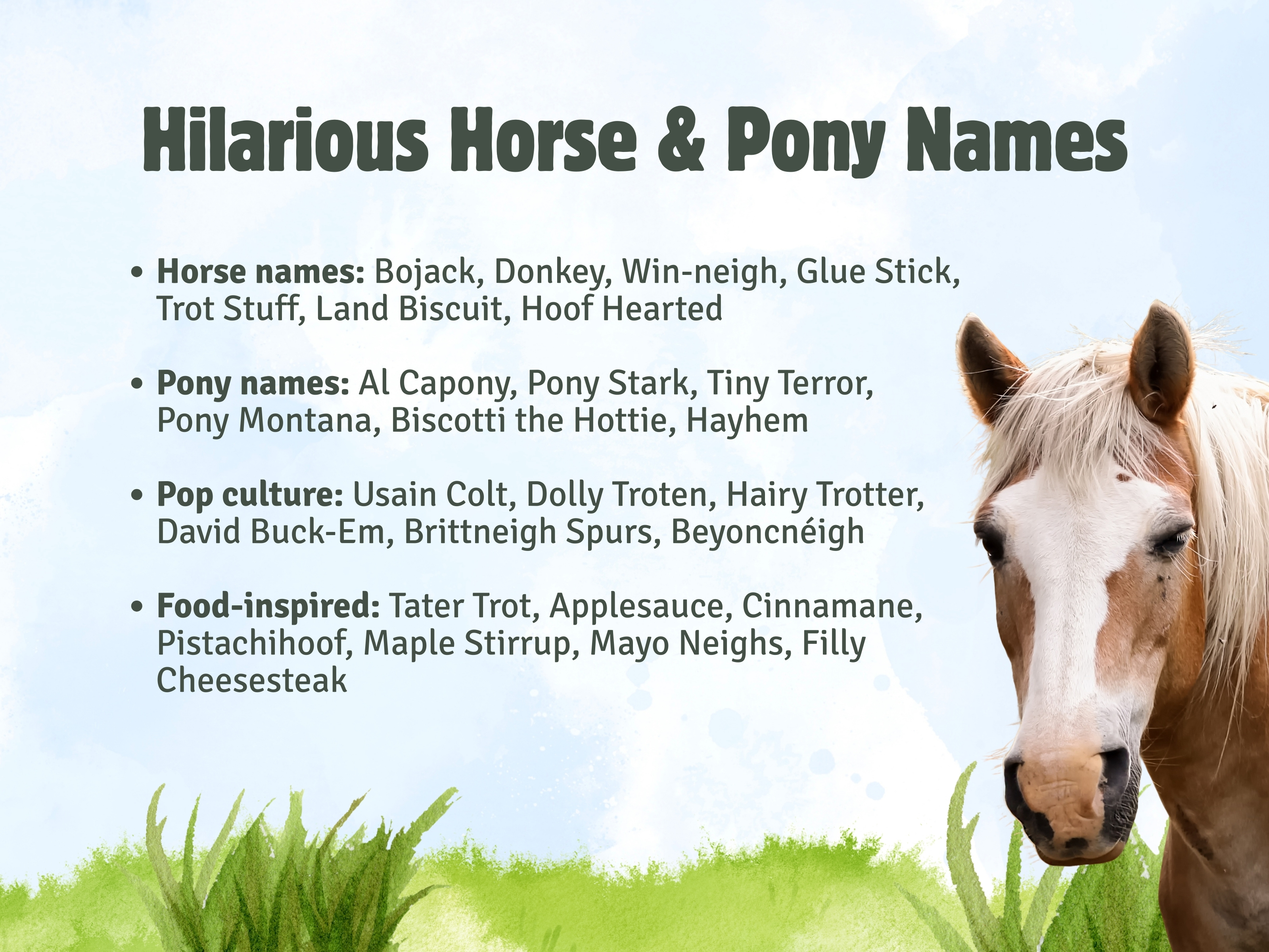 how to choose cool mare names (easy steps for fun naming)