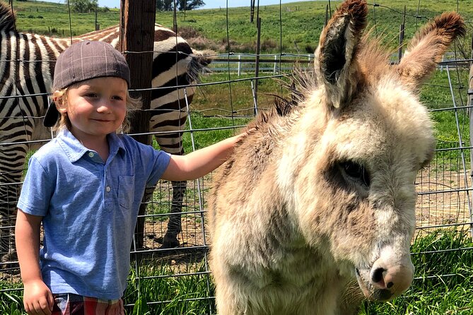 Golden Hills Farm animals? Meet the Animals & Family Activities