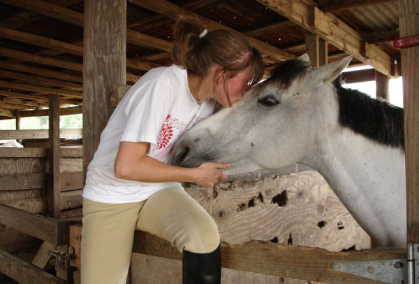 Dont say this wrong! Learn the best ways to use mares in English.