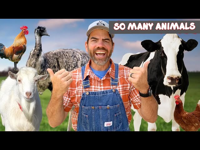 Golden Hills Farm animals? Meet the Animals & Family Activities