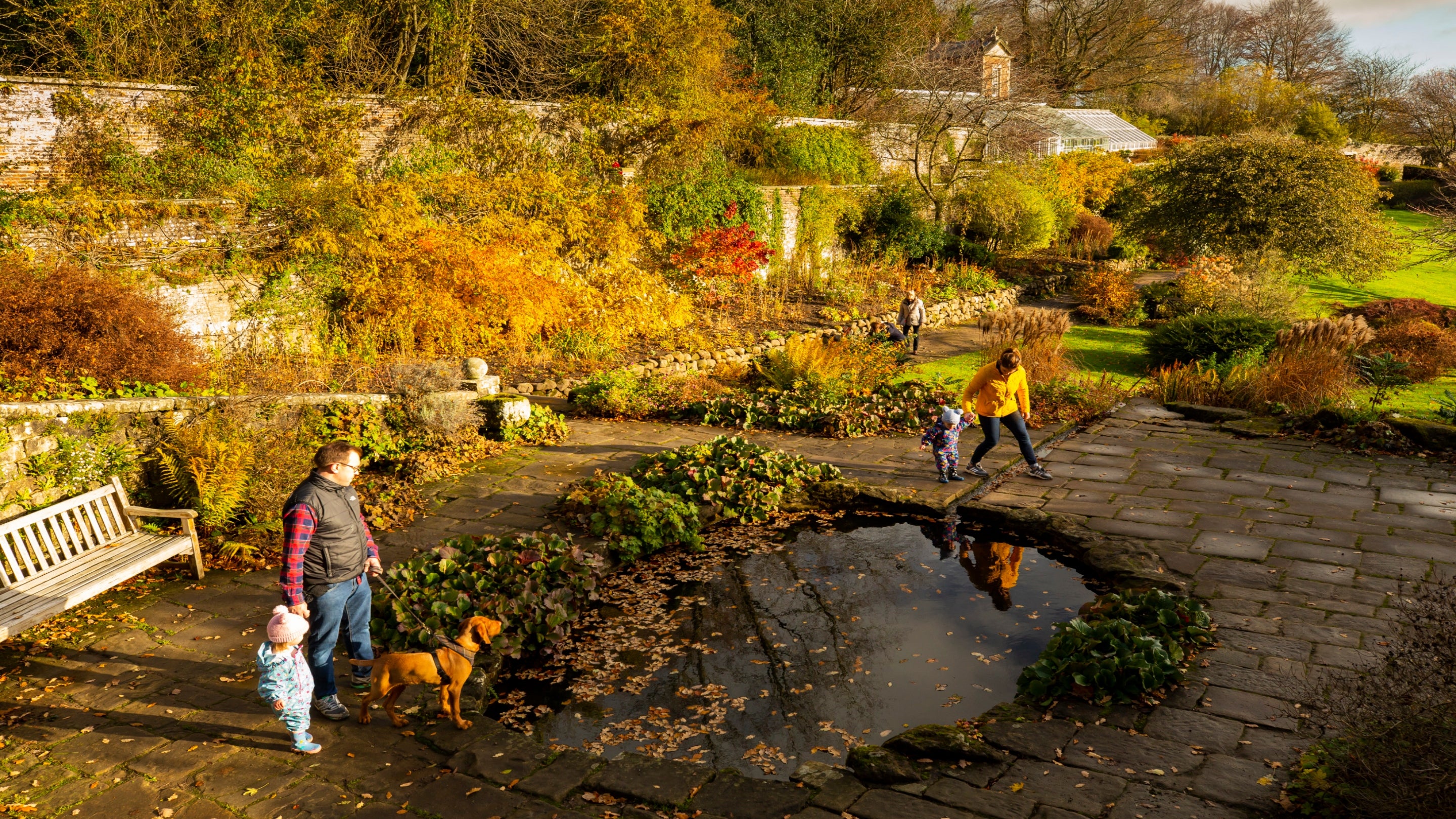 Why visit Wallington Surrey England? (Discover the hidden charm today)