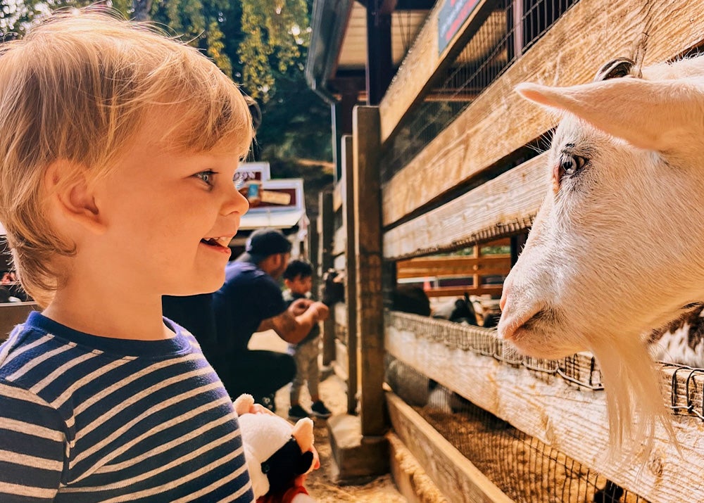 Golden Hills Farm animals? Meet the Animals & Family Activities