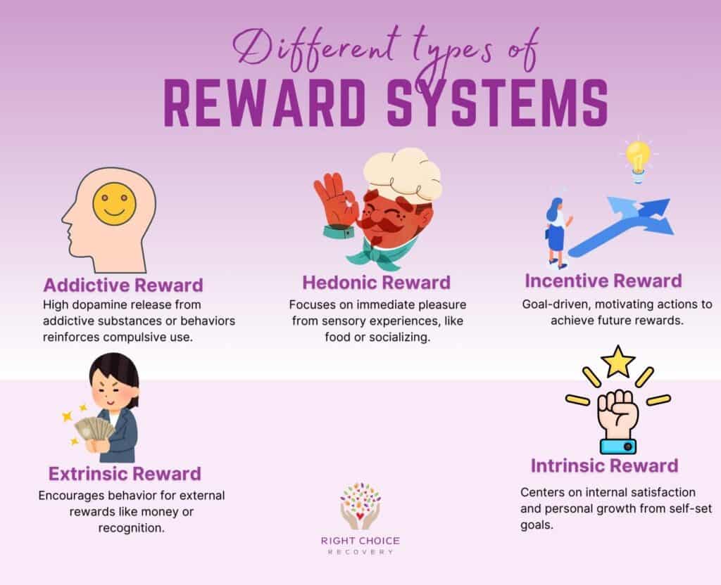 What is a reward seeker? (Learn basics for success easily)