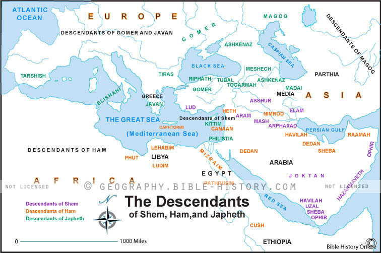 Where to Find Genesis 10 Schedule? (Easy Online Sources Now!)