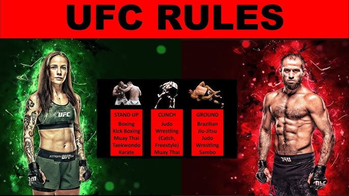 Flex Fight Rules Explained: 7 Key Things Beginners Must Know